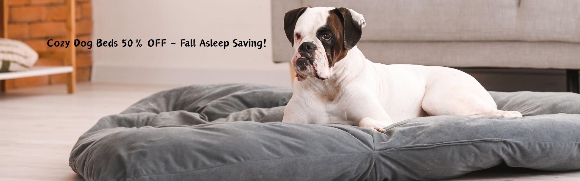 Dog Beds – Orthopedic & Washable